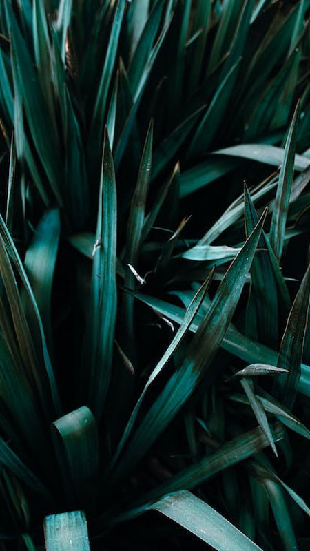 Ảnh nền iPhone đẹp kiến trúc hiện đại