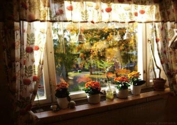 Ảnh nền màu vintage cho màn hình desktop