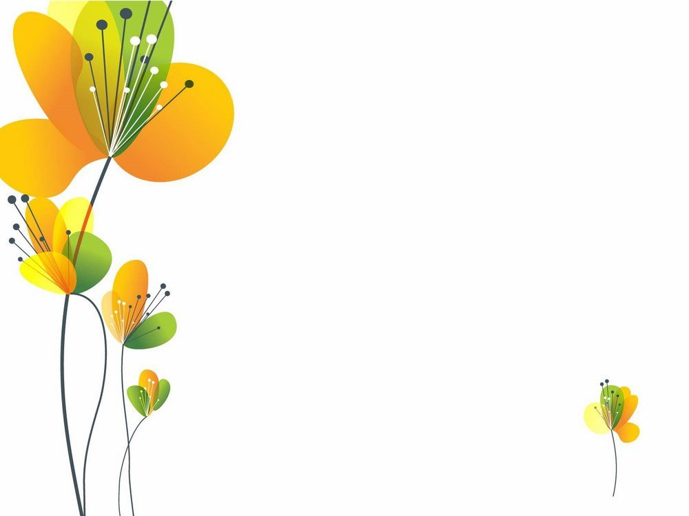 Ảnh nền PowerPoint thiên nhiên với hình ảnh hoa cúc trắng