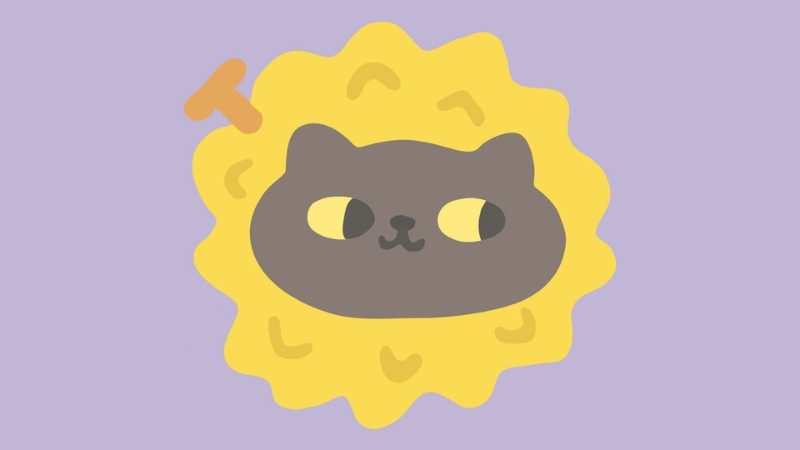 Ảnh nữ cute cho mèo ăn