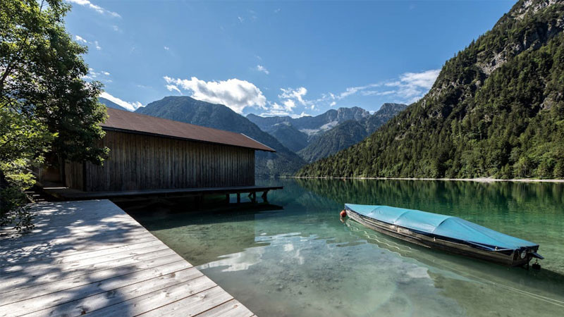 Ảnh phong cảnh buồn với cây cô đơn giữa đồng cỏ