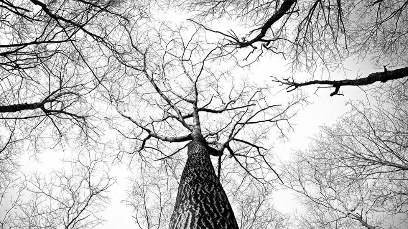 Vẻ Đẹp Vượt Thời Gian Của Ảnh Trắng Đen Ảnh phong cảnh chụp bằng kỹ thuật đen trắng tập trung vào ánh sáng