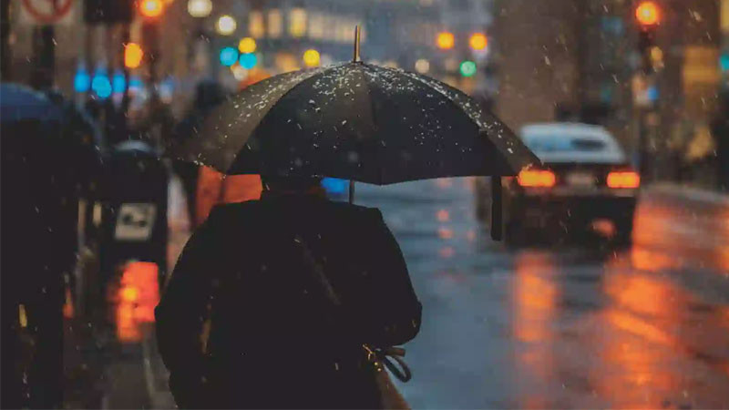 ảnh sad 3D nhân vật nhìn ra cửa sổ