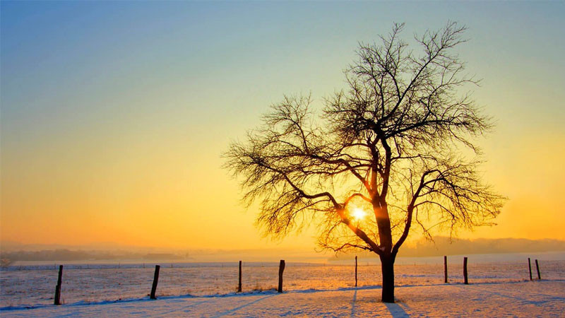 ảnh sad bầu trời u ám trước cơn bão