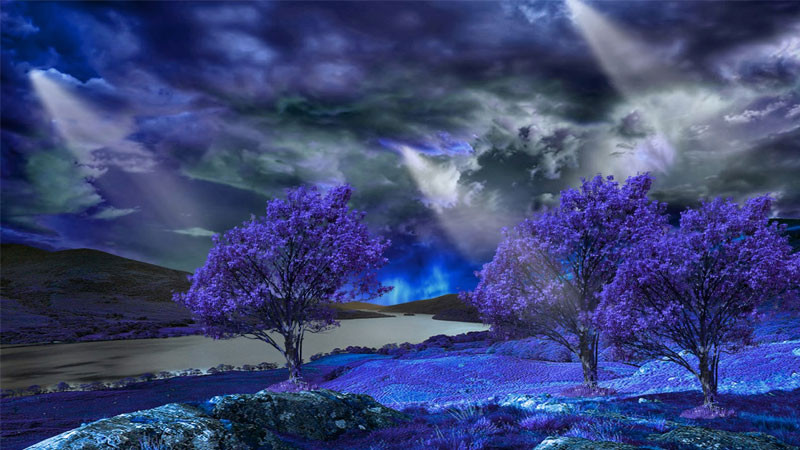 ảnh sad cảnh biển động với sóng lớn