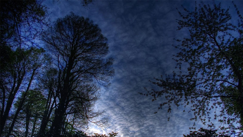 ảnh sad cánh đồng cỏ khô