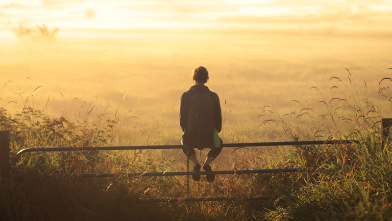 ảnh sad cảnh núi đá phủ sương