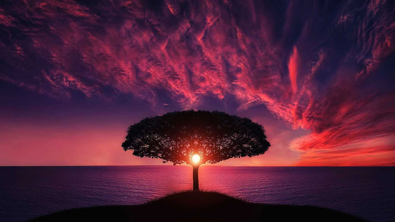 ảnh sad con đường đất trong cảnh chiều tà