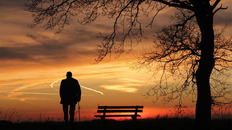 ảnh sad thác nước ẩn mình trong sương