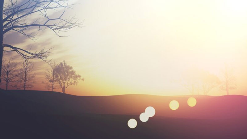 Ánh sáng bình minh huyền ảo chiếu qua tán lá