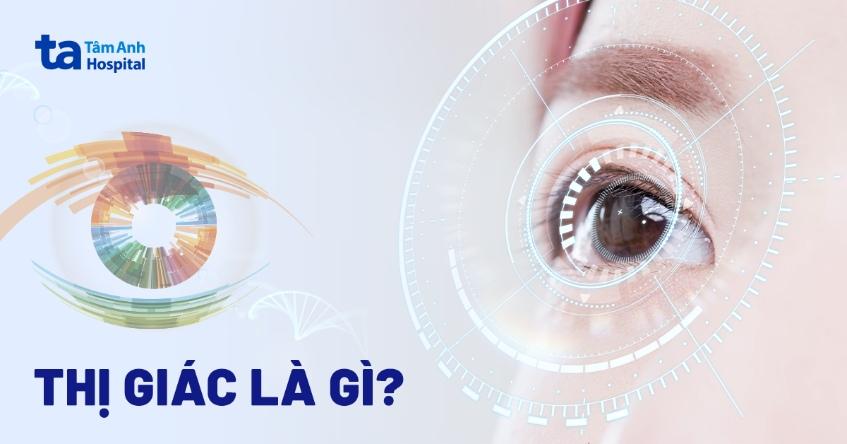 Hình ảnh ẩn dụ về ánh sáng nội tại hoặc hoạt động não bộ liên quan đến thị giác