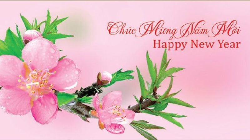 Tuyển Chọn Hình Ảnh Chúc Mừng Năm Mới Ý Nghĩa Ảnh Tết trang trí cành đào