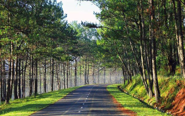 Tuyển chọn hình ảnh thiên nhiên lãng mạn đẹp nhất