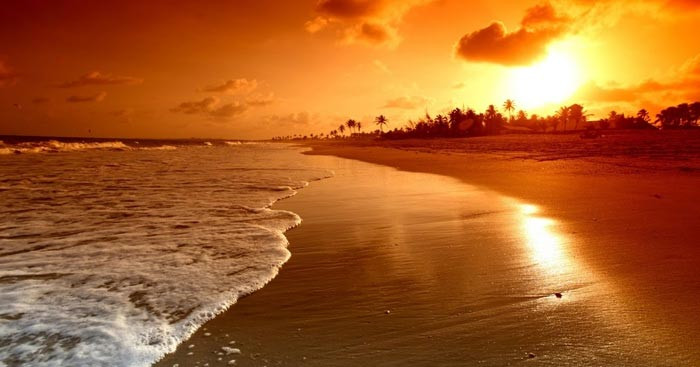 Tuyển chọn hình ảnh thiên nhiên lãng mạn đẹp nhất