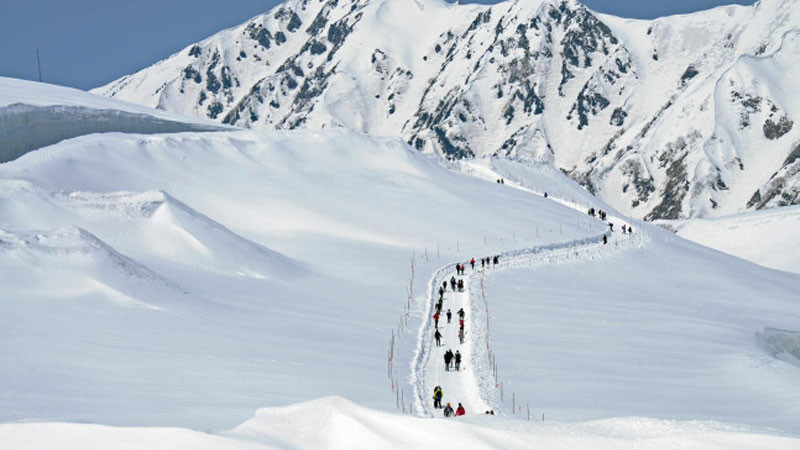 Ảnh trắng tinh 4K về kết cấu bề mặt