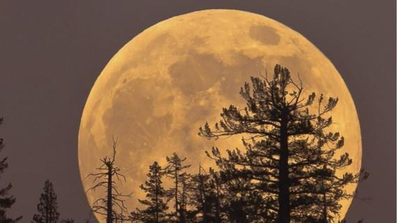 Ảnh trăng tròn ban đêm tỏa sáng rực rỡ