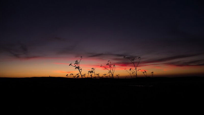 Ánh trăng tròn sáng soi trên bầu trời đêm đầy mây