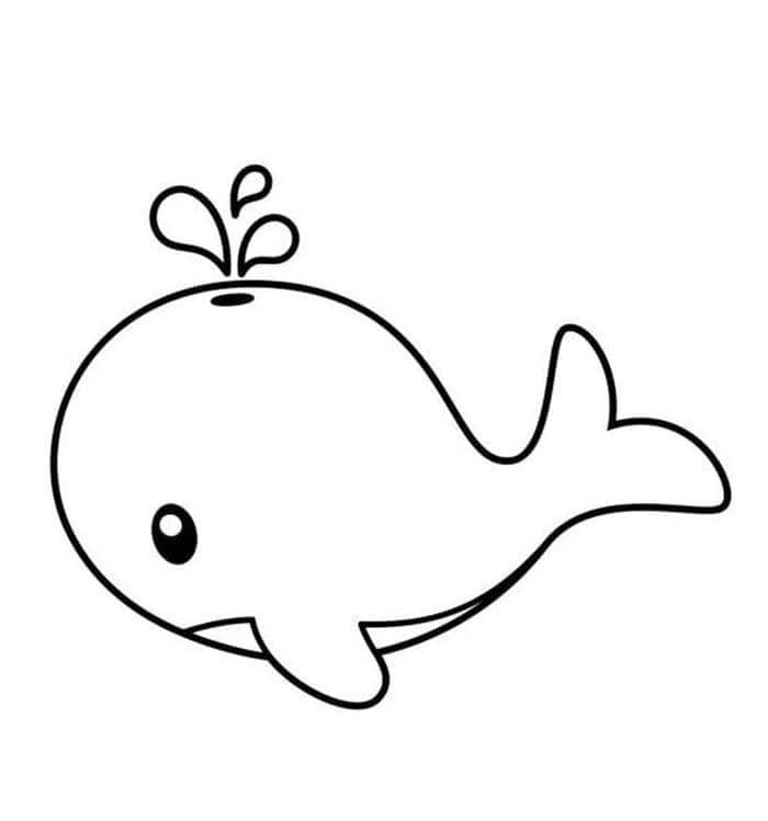 Ảnh tranh tô màu cá voi đơn giản