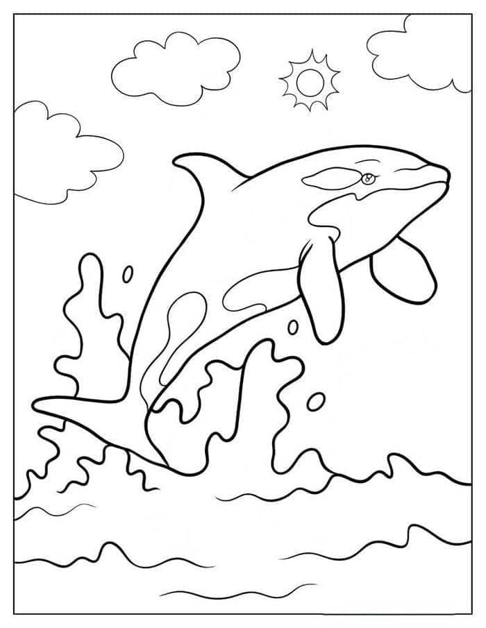 Ảnh tranh tô màu cá voi sát thủ cho bé