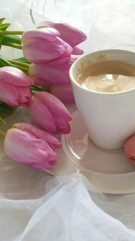 Ảnh tulip hồng cùng cà phê cực chill và nhẹ nhàng