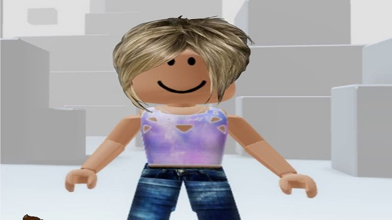 Avatar Karen phong cách hoạt hình trong cộng đồng game thủ Roblox.