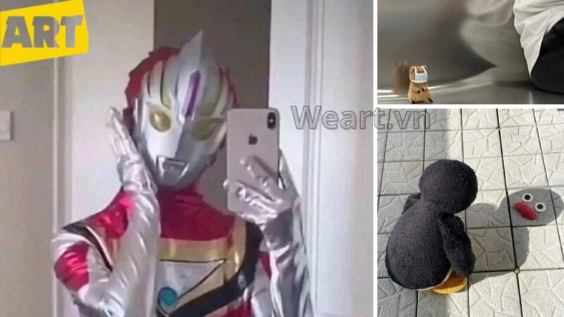 Bộ Sưu Tập Hình Ảnh Avatar Vô Tri Độc Đáo Bộ Sưu Tập Hình Ảnh Avatar Vô Tri Độc Đáo