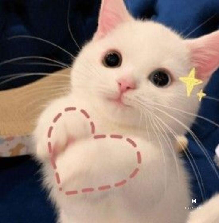 Avatar vô tri cute đơn giản mang nét dễ thương