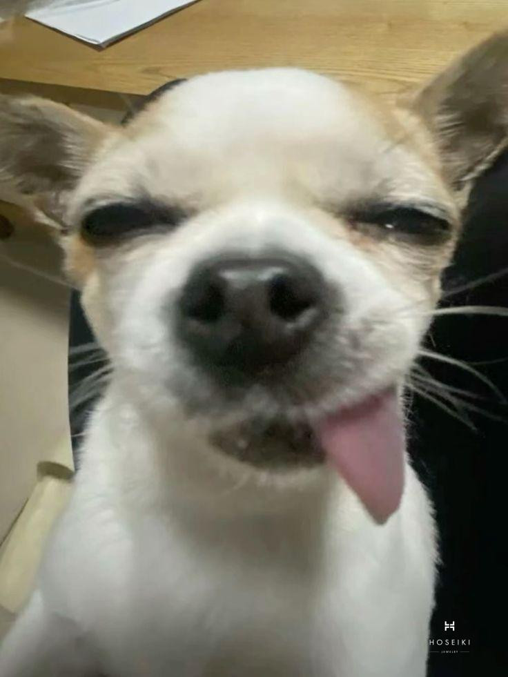 Avatar vô tri tối giản gam màu trầm