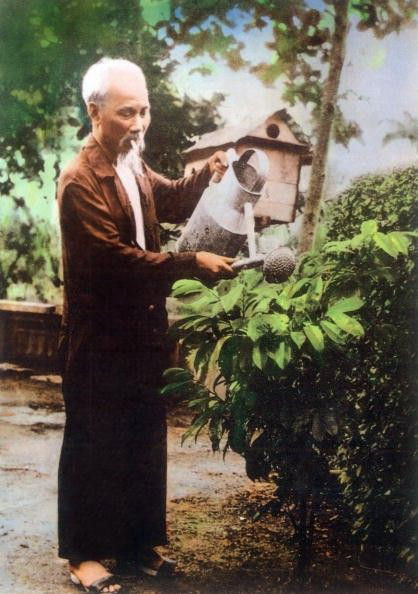 Bác Hồ gần gũi trong sinh hoạt hàng ngày