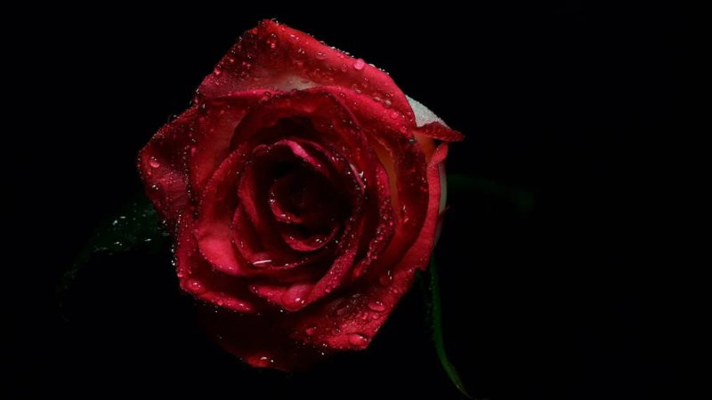 Background đen với hạt nhiễu nhẹ