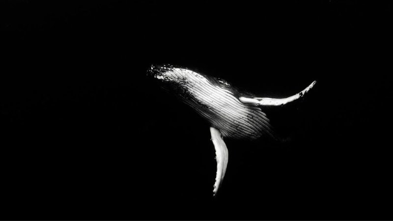 Background Facebook đen với họa tiết vân nhẹ