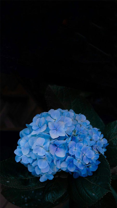 Background màu xanh dương với kết cấu bề mặt thú vị