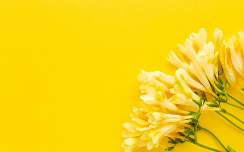 Background PowerPoint đơn giản với các hình khối hình học