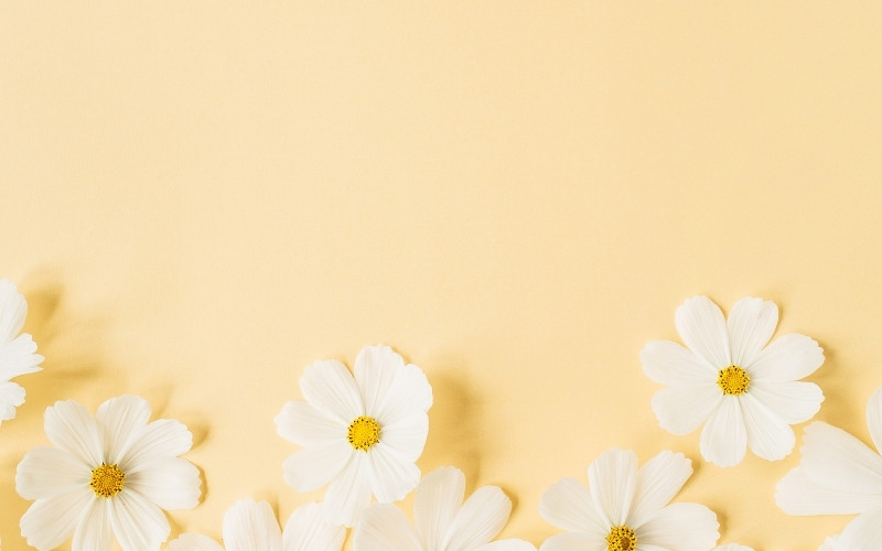 Background PowerPoint thiên nhiên với lá cây và ánh sáng