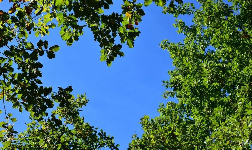 Bản đồ thế giới được bao phủ bởi màu sắc tươi sáng và biểu tượng hòa bình, thể hiện hạnh phúc toàn cầu