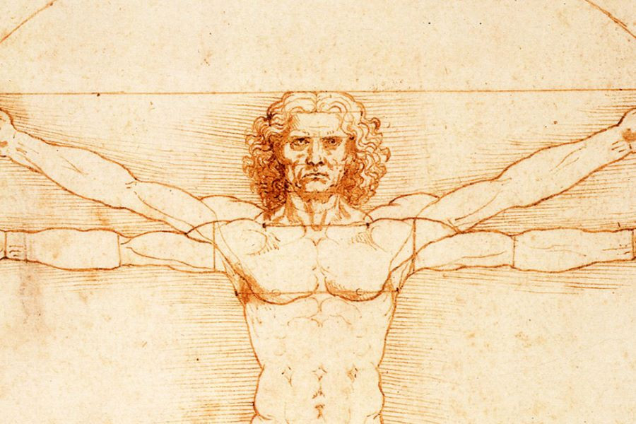 Bản vẽ Người Đàn Ông Vitruvius của Leonardo da Vinci