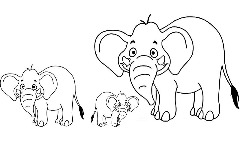 Bản vẽ voi đang ăn cây