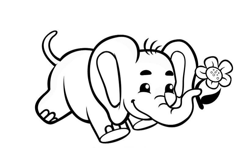 Bản vẽ voi đang phun nước bằng vòi, sẵn sàng để tô màu