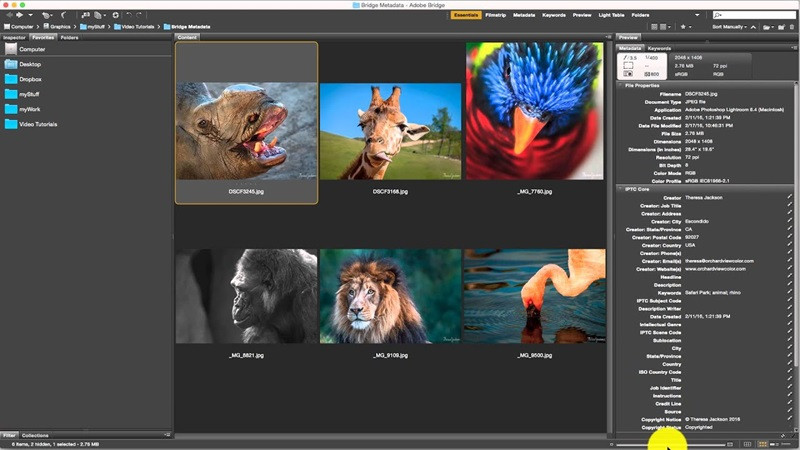 Bảng chỉnh sửa thông tin Metadata chi tiết cho tệp trong Adobe Bridge