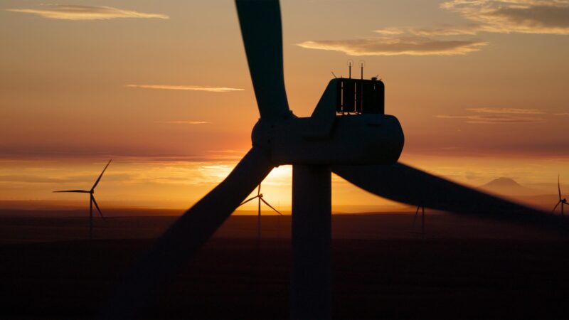 Hinh anh minh hoa bang mau neutral duoc ung dung trong ve tranh va thiet ke noi that