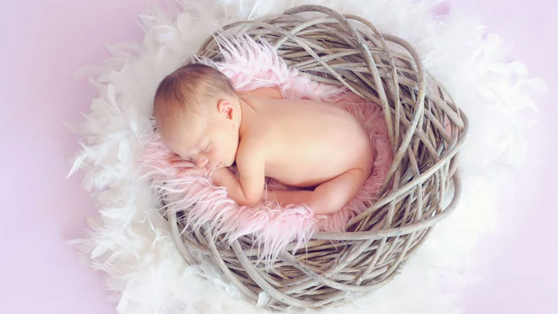 Bé gái sơ sinh đội mũ tai thỏ chụp ảnh concept