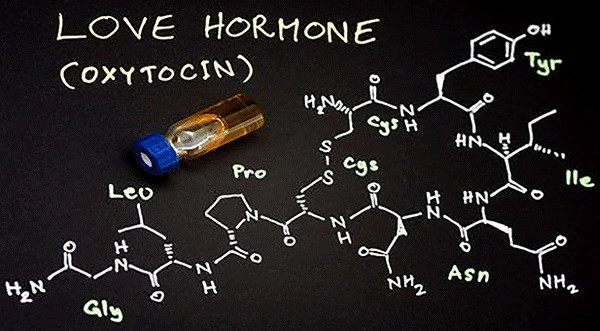 Biểu đồ hoặc hình ảnh trừu tượng về hoạt động não bộ khi trải nghiệm tình yêu lãng mạn