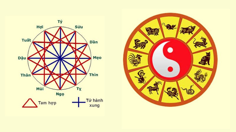 Biểu đồ hoặc hình minh họa chu kỳ 12 năm của vận hạn Tam Tai