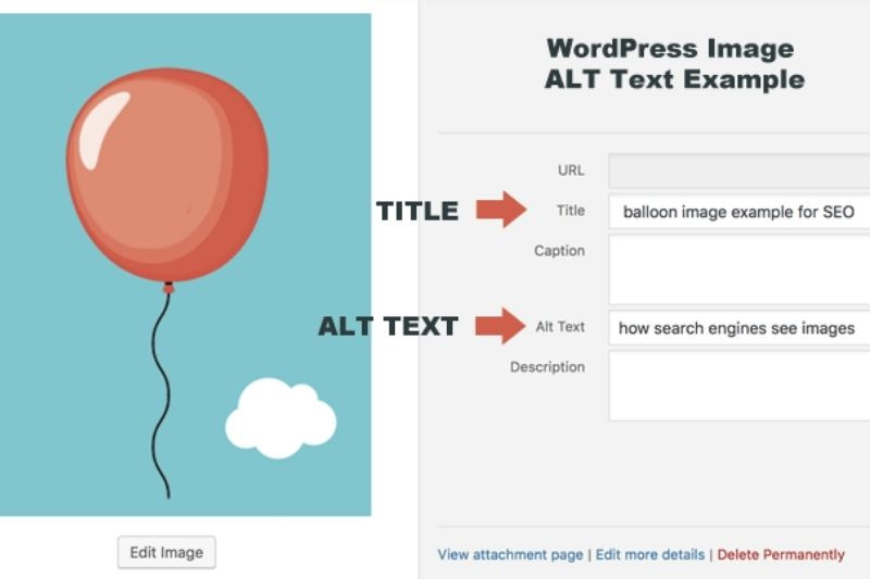 Biểu đồ so sánh sự khác biệt giữa Alt Text và Title Image