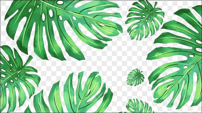 Biểu đồ so sánh ưu điểm và nhược điểm của các định dạng ảnh PNG, JPEG, GIF