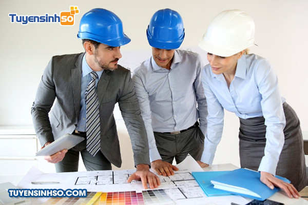 Biểu đồ thể hiện các lĩnh vực nghề nghiệp trong ngành Kinh tế Xây dựng