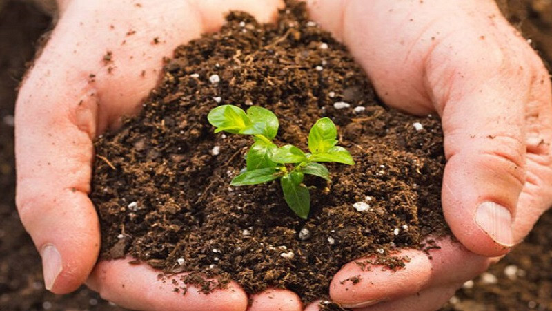 Biểu tượng mệnh Thổ, tượng trưng cho đất đai vững chãi và sự nuôi dưỡng