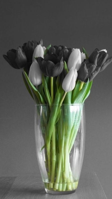 Bình hoa tulip đẹp và ấn tượng, món đồ trang trí phòng độc đáo