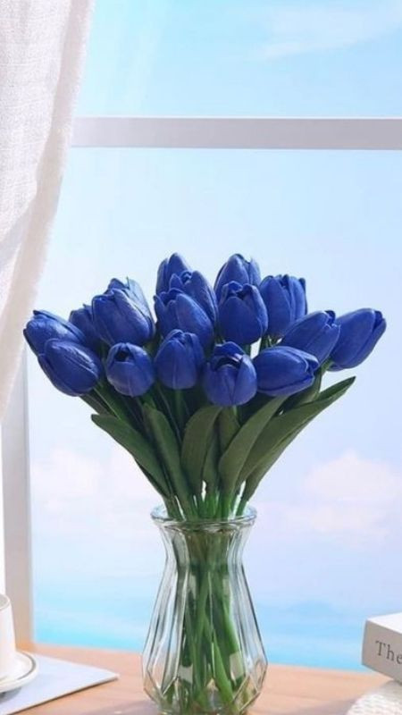 Bình hoa tulip xanh rực rỡ bên cửa sổ