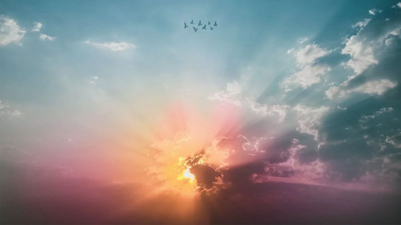 Bình minh qua nét cọ mềm mại